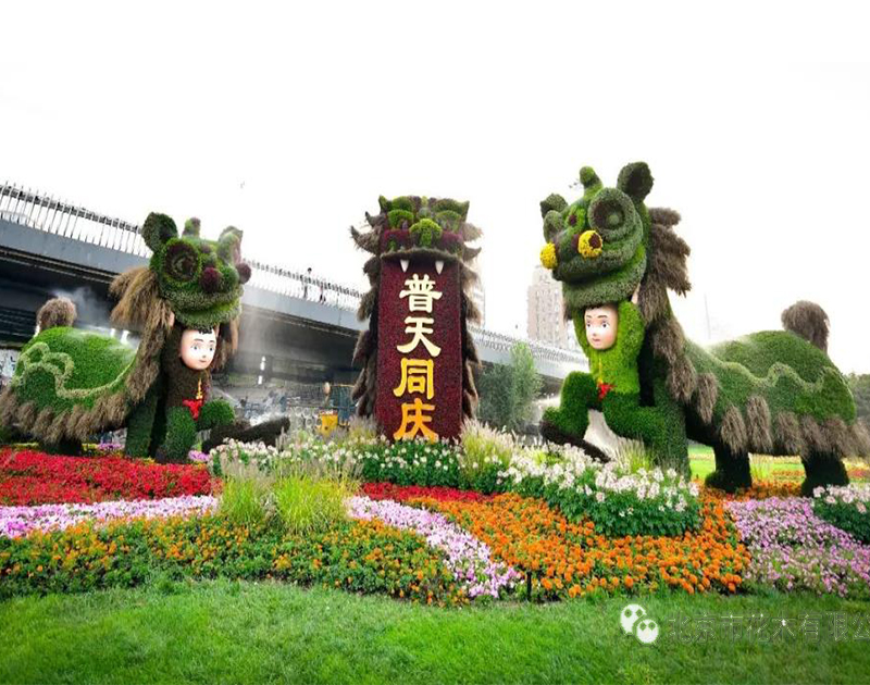 上海五色草造型